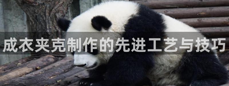天辰娱乐主管