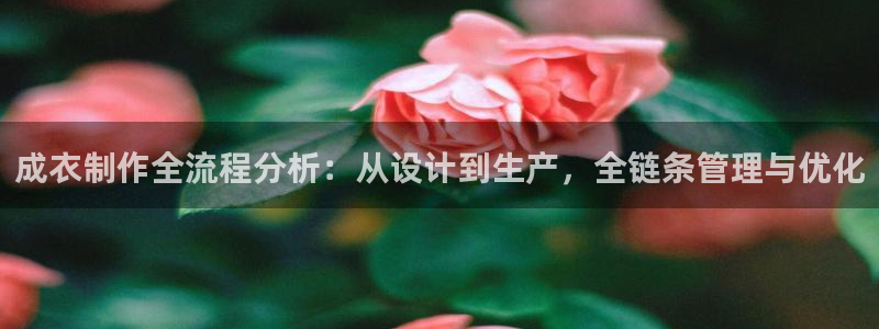 天辰娱乐51137