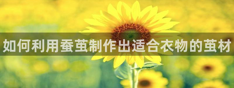 天辰娱乐主管