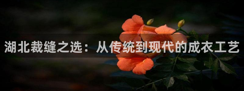 天辰娱乐的网址首页