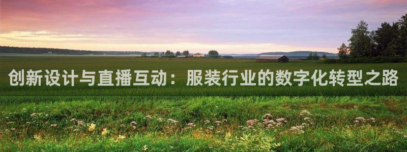 天辰娱乐总管