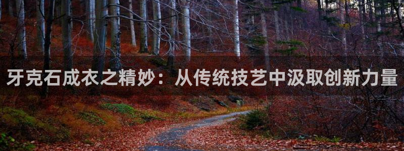 天辰娱乐游客