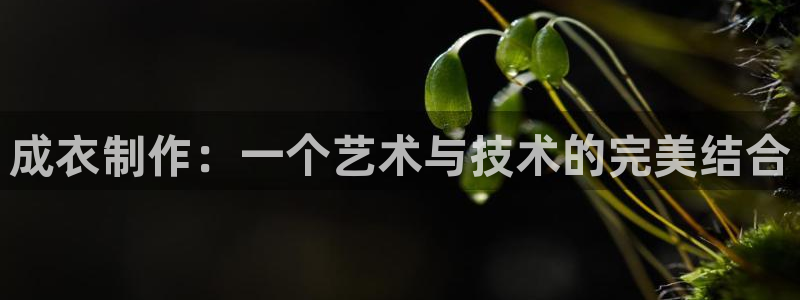 天辰娱乐咋样