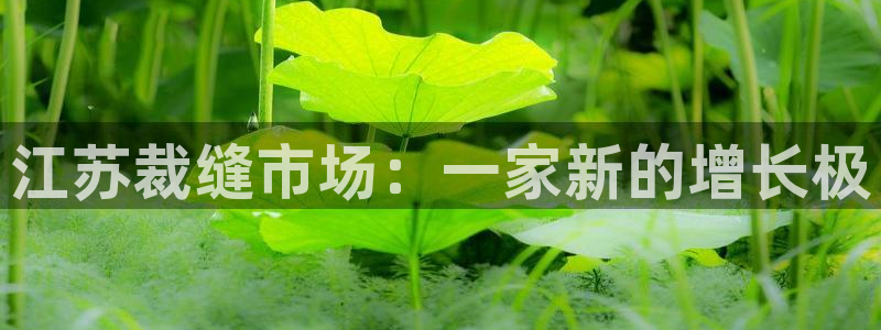 天辰娱乐说