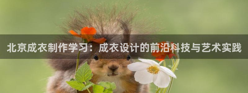 天辰娱乐_ 18113