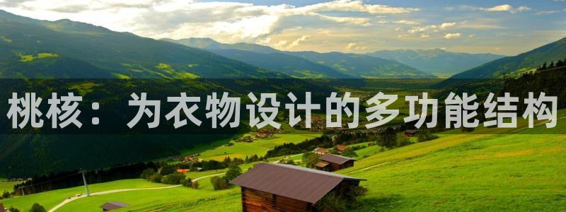 天辰娱乐视频