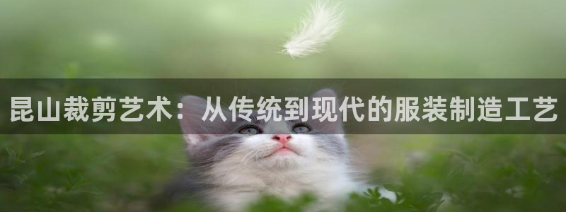天辰娱乐2