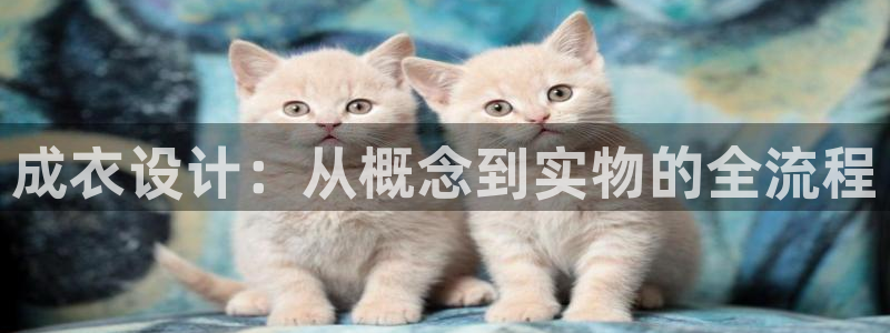 天辰娱乐测试