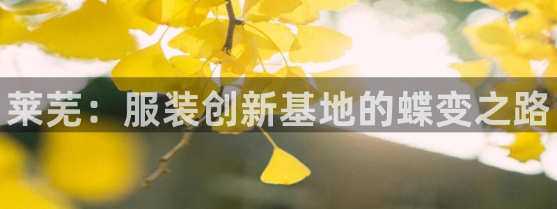 天辰娱乐上级