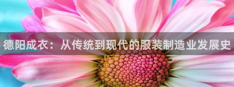 天辰娱乐集团