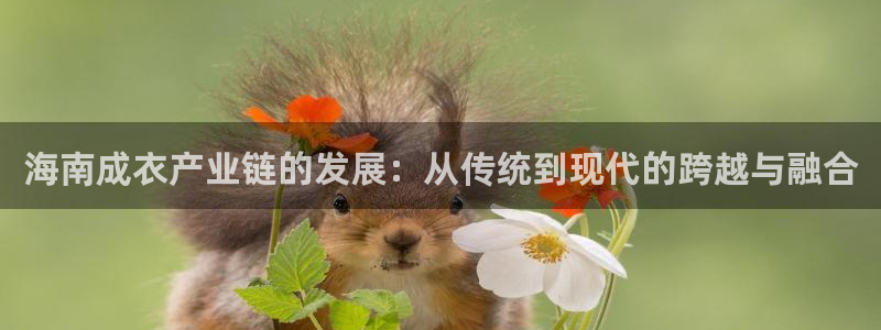 天辰娱乐游客