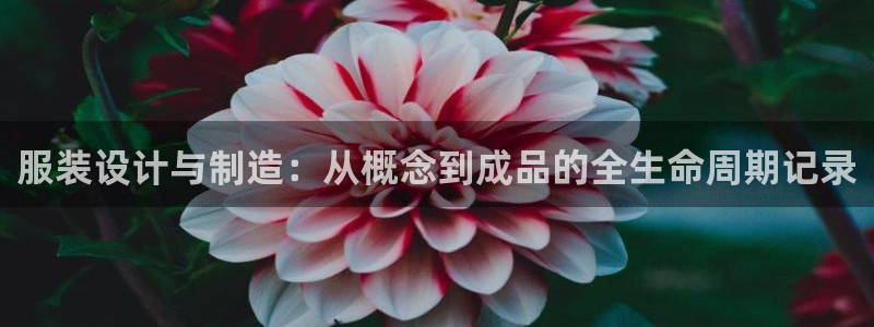 天辰娱乐