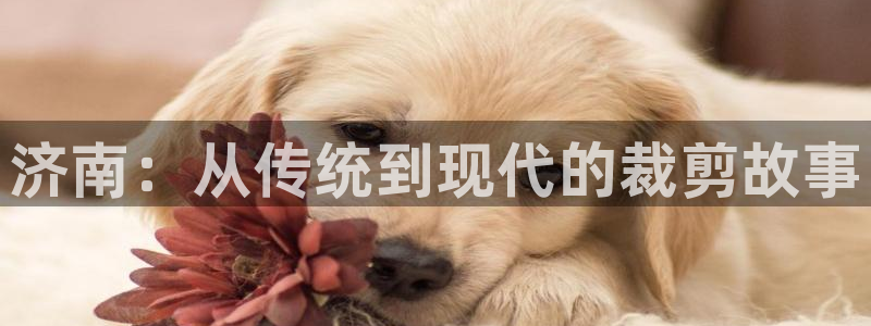 天辰娱乐 39974