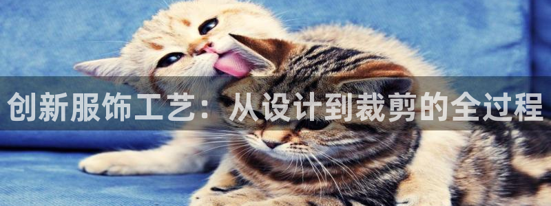 天辰娱乐指定