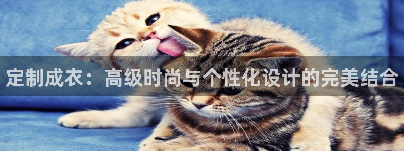 天辰娱乐所