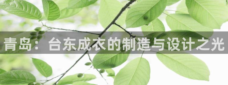 天辰娱乐公司