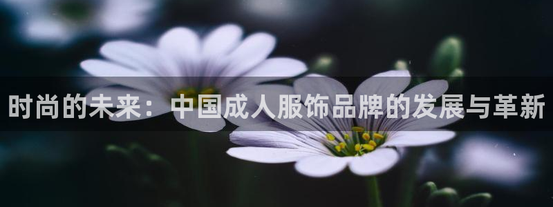 天辰娱乐软件