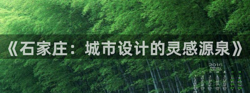 天辰娱乐44516