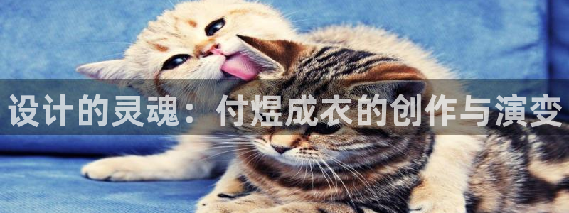 天辰娱乐电话