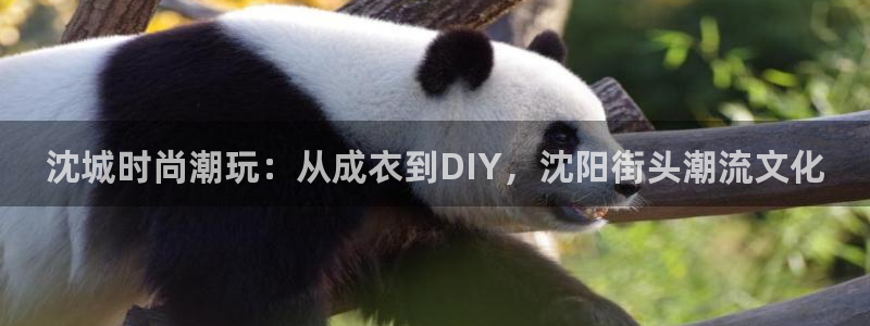 天辰娱乐在线登录注册