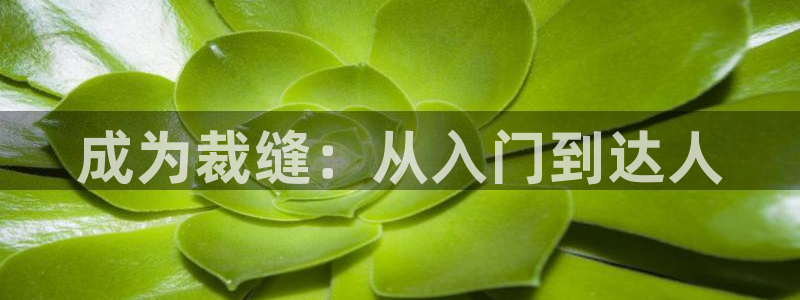 天辰娱乐文化