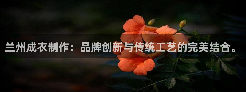 天辰娱乐总管年薪