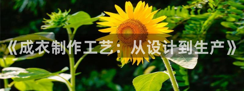 天辰娱乐挂机