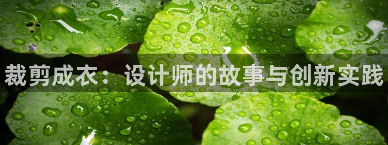 广东天辰娱乐