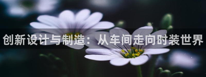 天辰娱乐输了