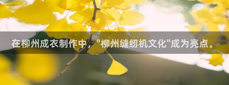 深圳天辰娱乐