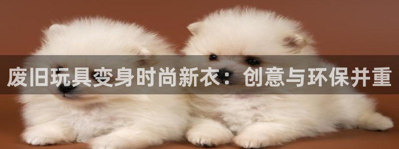 天辰娱乐小妹