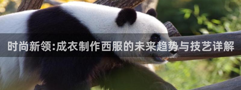 天辰娱乐tff