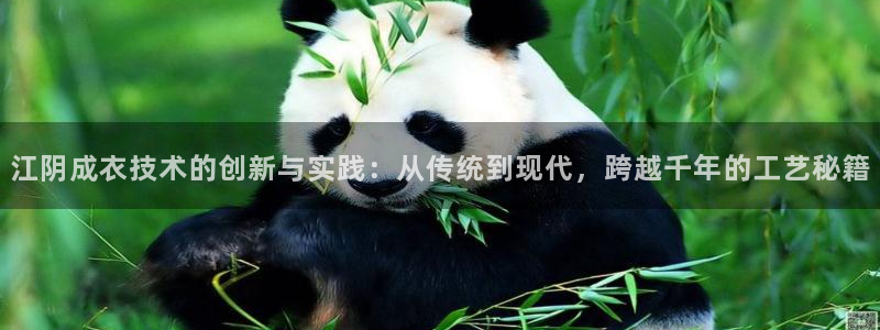 天辰娱乐481928