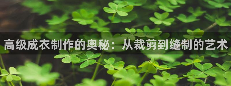 天辰娱乐 44516