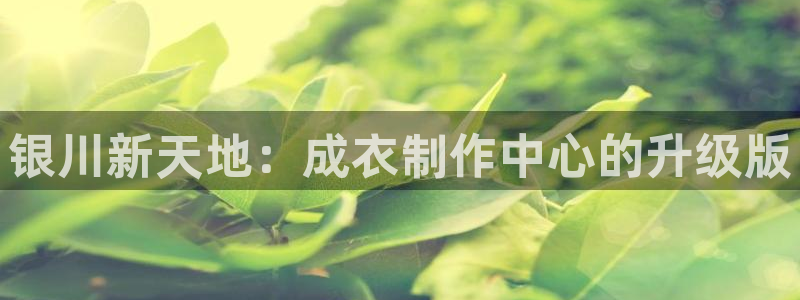 天辰娱乐娱乐