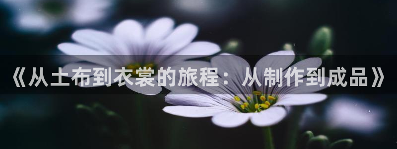 天辰娱乐游戏平台怎么样