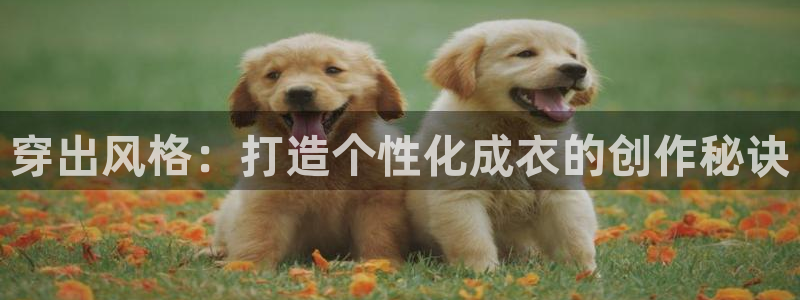 天辰娱乐的网址首页