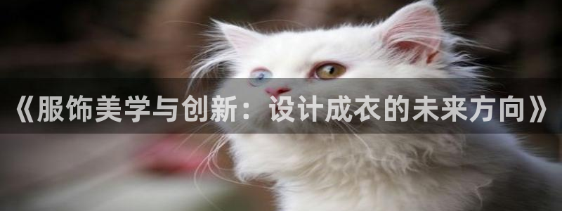 天辰娱乐台湾