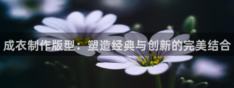 天辰娱乐老板