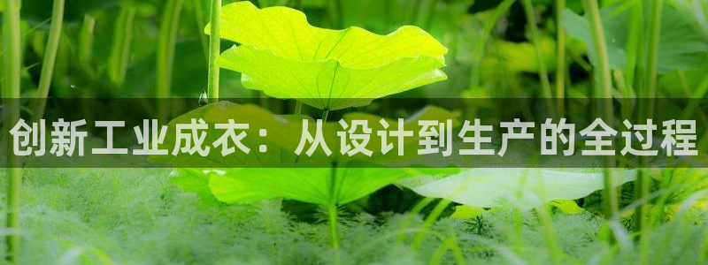 天辰娱乐官网平台入口