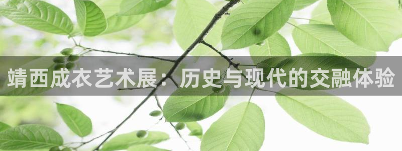 天辰娱乐国际