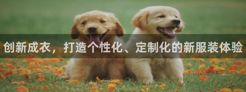 深圳天辰娱乐