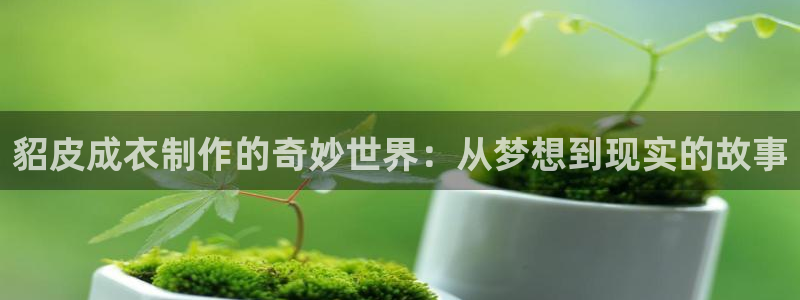 天辰娱乐-q