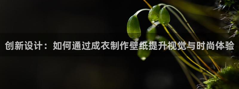 天辰娱乐下载地址