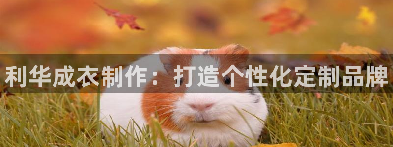 天辰娱乐游戏平台怎么样